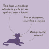 Winga Caldo De Huesos Para Gatos 180Gr