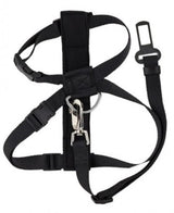 Pawise Arnes Y Cinturon De Seguridad Medium